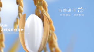 视频剪辑时有什么技巧可以节省人力成本？